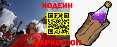 индика Заводоуковск