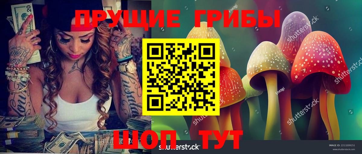 Псилоцибиновые грибы мицелий Балтийск