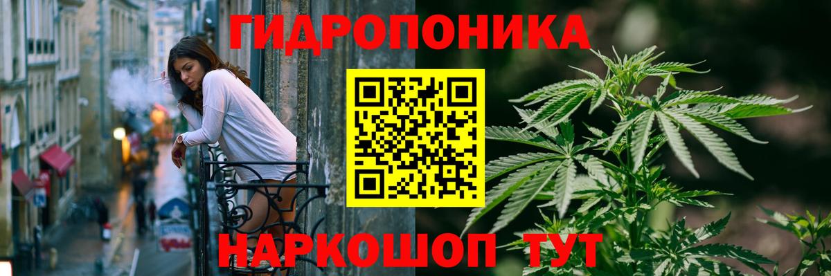 Бошки марихуана индика Балтийск